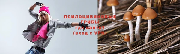 винт Алексеевка