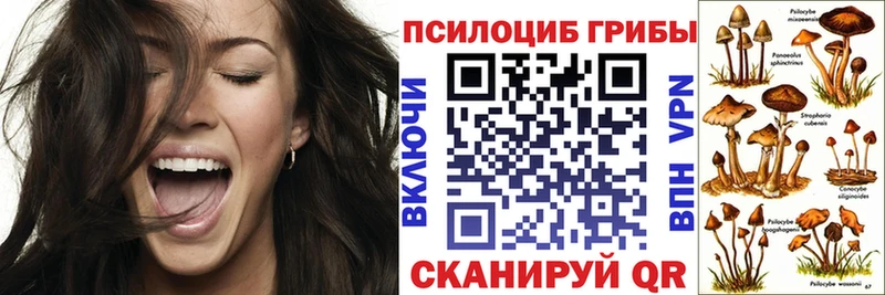 Галлюциногенные грибы Magic Shrooms  где купить наркоту  Правдинск 