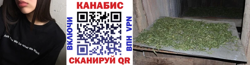 Конопля индика купить наркоту Правдинск
